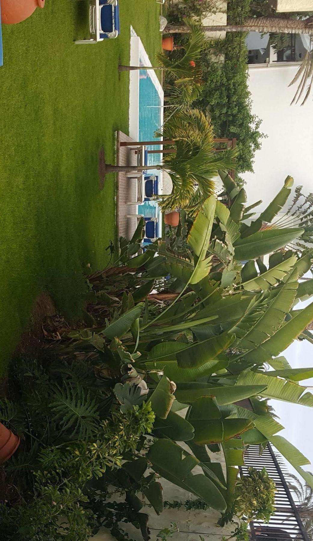 Appartamento Alsol Nogal (Adults Only) Playa del Inglés Esterno foto